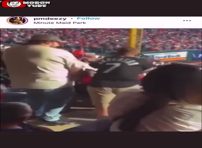 Video :During the game, a Chicago White Sox supporter is viciously punched